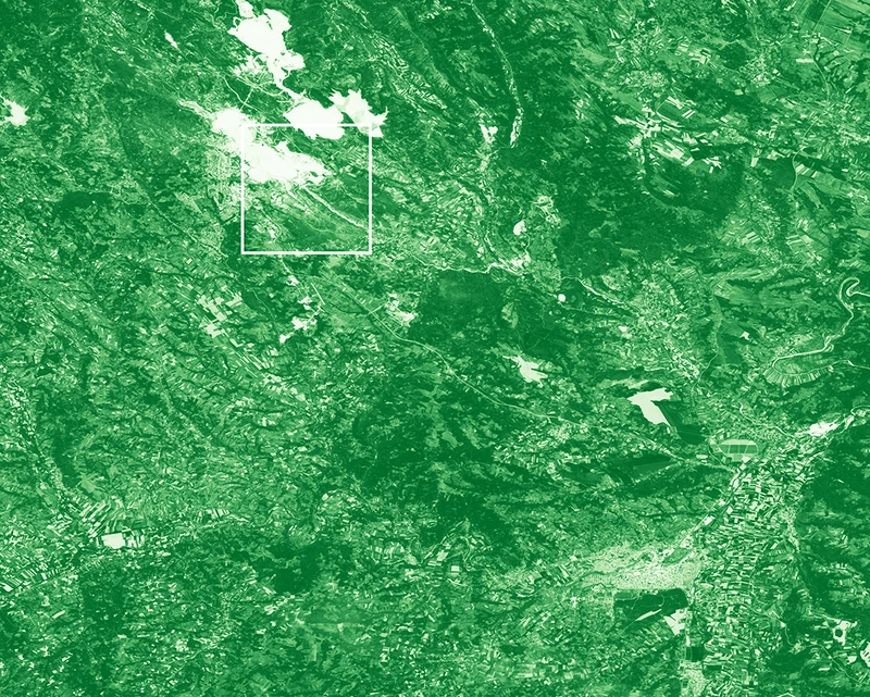 NDVI