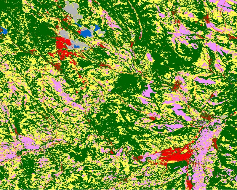 Land cover