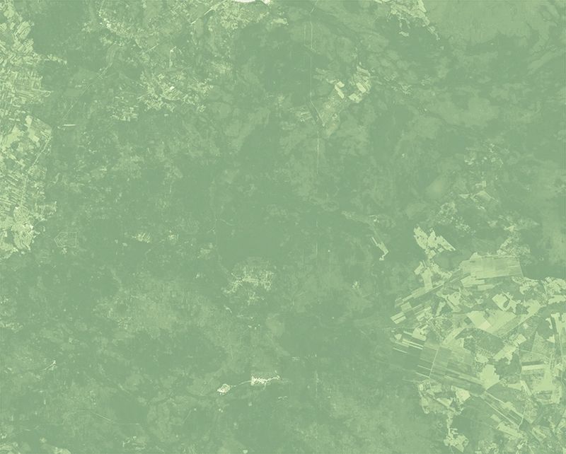 Normalized Difference Vegetation Index (NDVI) – 2018