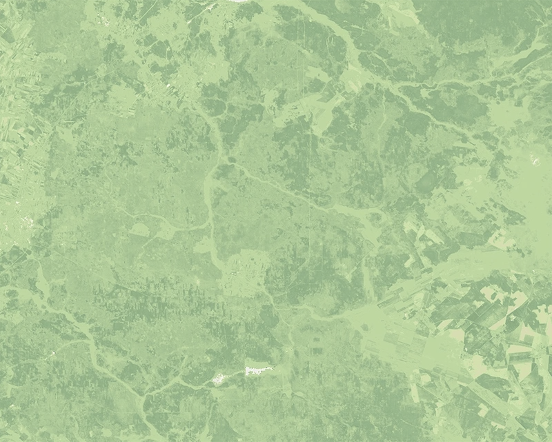 Normalized Difference Vegetation Index (NDVI) – 2025