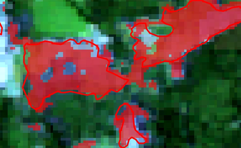 2020 08