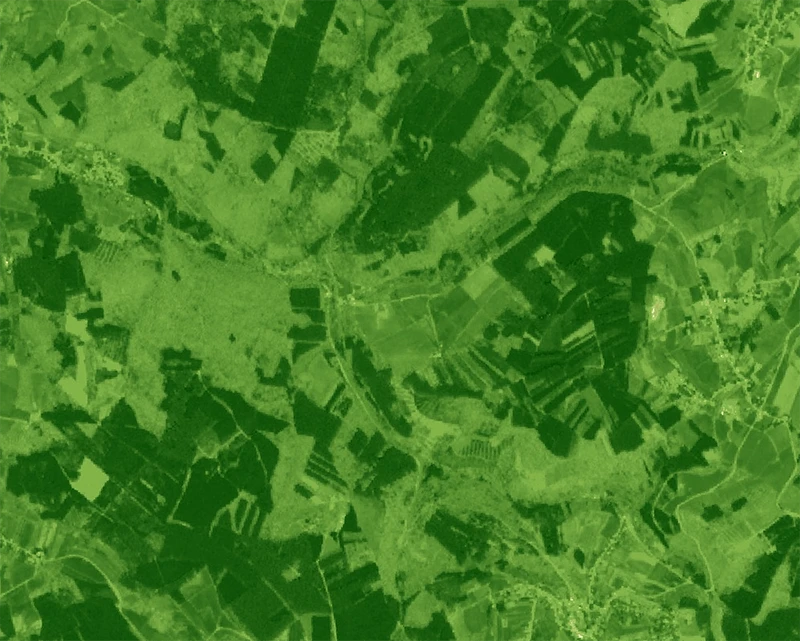 Sentinel-2 NDVI