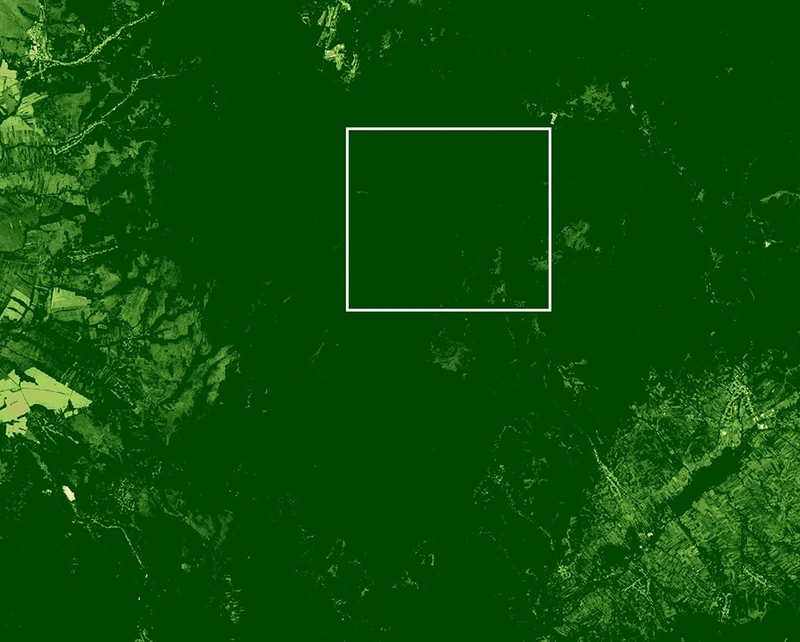 2017 <br>Normalized Difference <br>Vegetation Index (NDVI)