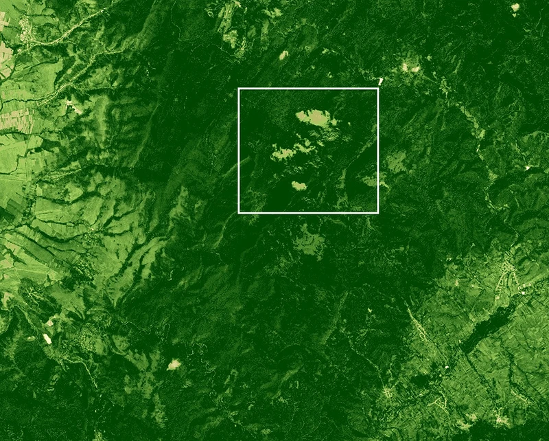 2024 <br>Enhanced <br>Vegetation Index (EVI)