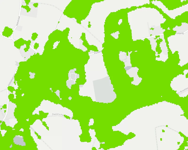 Woody Vegetation Features